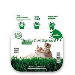 Tineke %100 Doğal Fileli Kedi Çimi (Tüy Yumağı Önleyici)