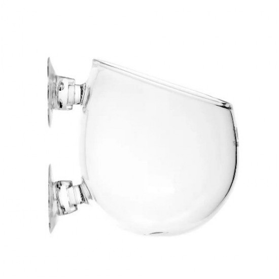 AQUAPRO Glass Plant Pot Cam Bitki Saksısı