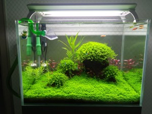 KEMAL YAZGAN / ŞANLIURFA