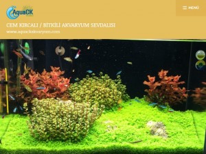 Wordpress Blog Sitemiz