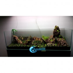 Dragonstone Hardspace Doğal Akvaryum Tasarım Kayası 1 Kg Dragonstone Hardspace Doğal Akvaryum Tasarım Kayası 1 Kg