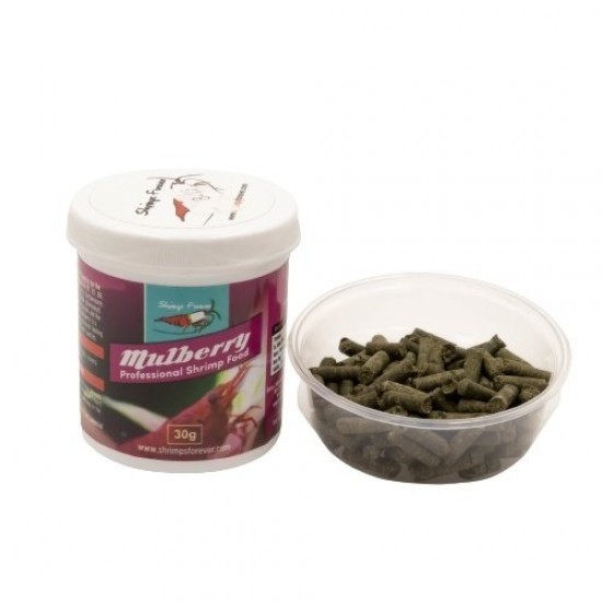Mulberry Mulberry