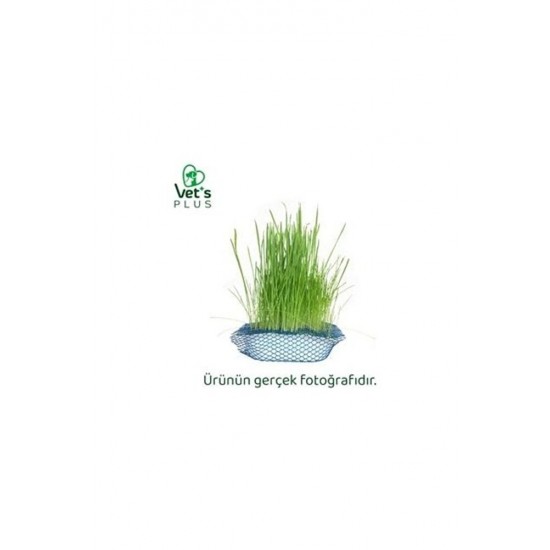 Vet's Plus Vet’s Plus %100 Doğal Fileli Kedi Çimi (Tüy Yumağı Önleyici)