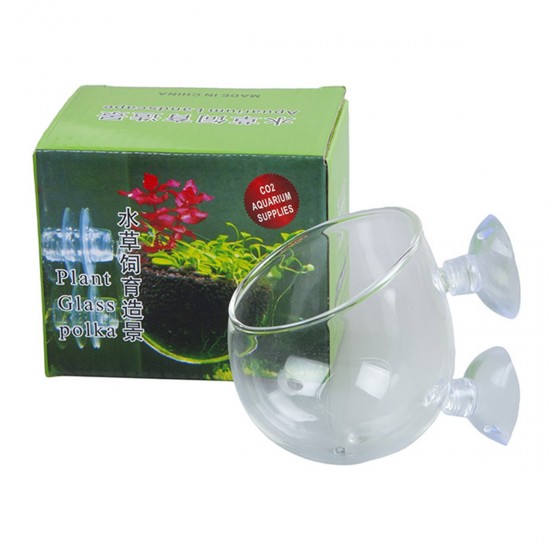 Plant Glass Canlı Bitki Kabı