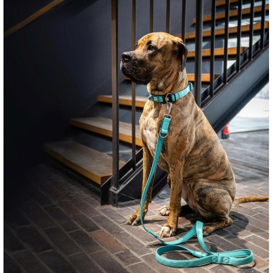Max Molly Matrix 2.0 Akıllı Künyeli Köpek Boyun Tasması Turkuaz Small Max Molly Matrix 2.0 Akıllı Künyeli Köpek Boyun Tasması Turkuaz Small