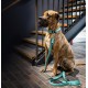 Max Molly Matrix 2.0 Akıllı Künyeli Köpek Boyun Tasması Turkuaz Small Max Molly Matrix 2.0 Akıllı Künyeli Köpek Boyun Tasması Turkuaz Small