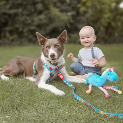 Max Molly Little Monsters Köpek Gezdirme Kayışı Medium Max Molly Little Monsters Köpek Gezdirme Kayışı Medium