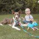 Max Molly Little Monsters Köpek Gezdirme Kayışı Medium Max Molly Little Monsters Köpek Gezdirme Kayışı Medium
