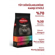 Pauncyh Tavuk Etli Gurme Yetişkin Kedi Maması 15 Kg Pauncyh Tavuk Etli Gurme Yetişkin Kedi Maması 15 Kg