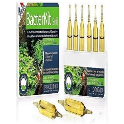 Prodibio Bacter Soil Ampül 1 adet Prodibio Bacter Soil Ampül 1 adet