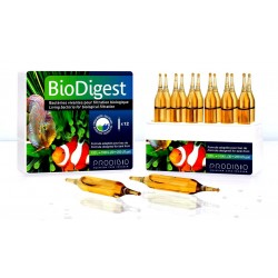 Prodibio - BioDigest 1 Adet Prodibio - BioDigest 1 Adet