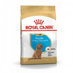 Royal Canin Puppy Poodle Caniche Yavru Köpek Maması 3kg Royal Canin Puppy Poodle Caniche Yavru Köpek Maması 3kg