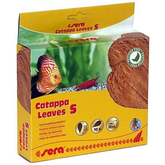 SERA CATAPPA YAPRAĞI S14 CM 10 ADET
