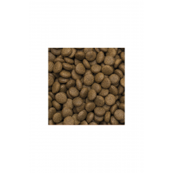 Tropidog Kuzu Etli Ve Pirinçli Yetişkin Köpek Maması Medium Large 2,5 Kg Tropidog Kuzu Etli Ve Pirinçli Yetişkin Köpek Maması Medium Large 2,5 Kg