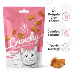 Vet's Plus Crunchy İçi Dolgulu Somonlu ve Catnipli Kedi Ödül Bisküvisi 60gr Vet's Plus Crunchy İçi Dolgulu Somonlu ve Catnipli Kedi Ödül Bisküvisi 60gr