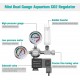 Selanoid Valfli İnce Ayarlı Co2 Regülatör Selanoid Valfli İnce Ayarlı Co2 Regülatör